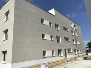 MFH Matzingen, Fassadenanstrich Algenschutz 2.jpg