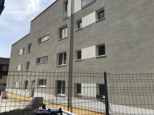 MFH Matzingen, Fassadenanstrich Algenschutz 3.jpg